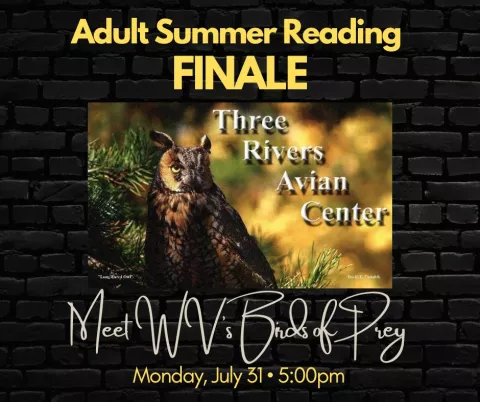 Adult Summer Reading Finale: Birds of Prey